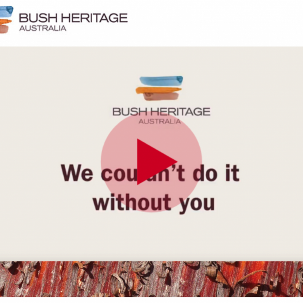 Bush Heritage Australia
