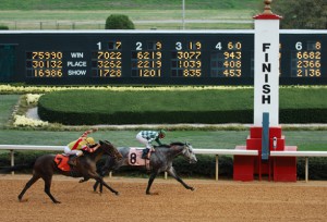Finish Line