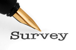 Supporter survey